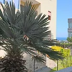 Luisa A Otranto